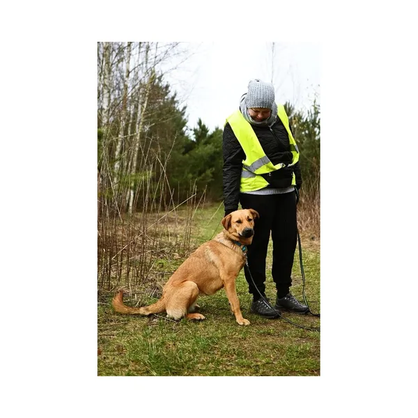 Znaleziono psa, Białystok, 15 lutego 2024 (3/4)