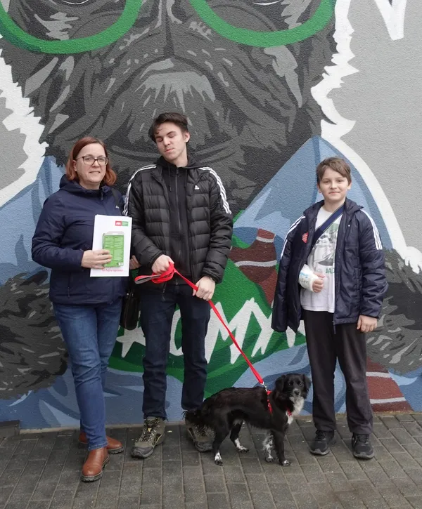 Pies do adopcji, Gdańsk, 3 marca 2024