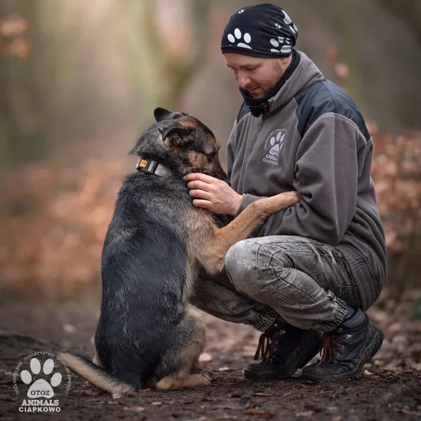 Pies do adopcji, Gdynia, 8 marca 2024 (3/4)