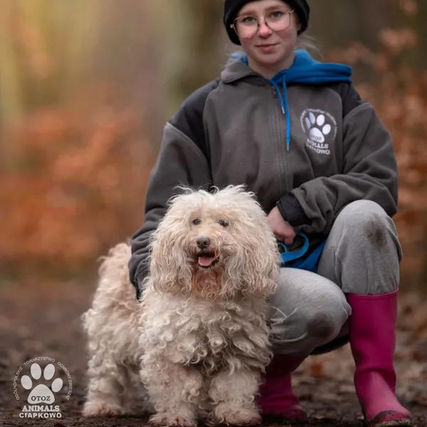 Pies do adopcji, Gdynia, 8 marca 2024 (5/5)