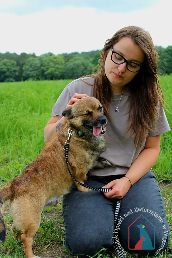 Pies do adopcji, Węgrowo, 19 lutego 2024 (4/5)