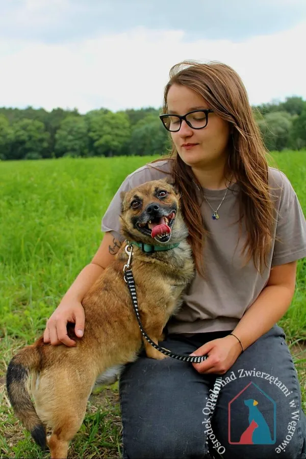 Pies do adopcji, Węgrowo, 19 lutego 2024 (5/5)