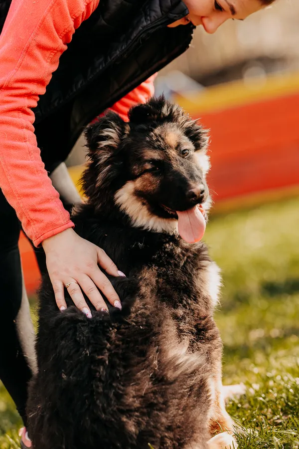 Pies do adopcji, Czartki, 15 marca 2024 (5/5)