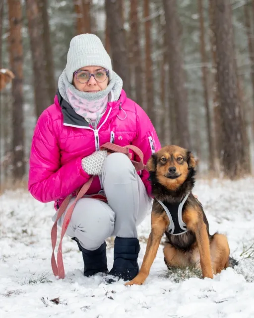 Pies do adopcji, Piła, 18 listopada 2023 (2/5)