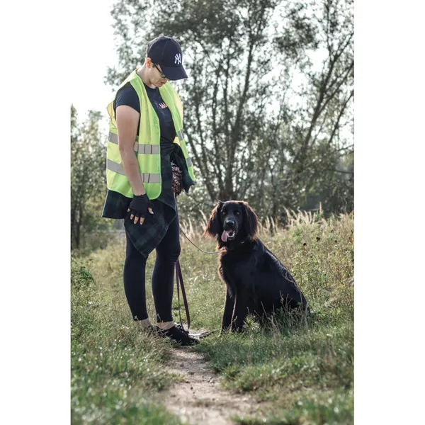 Znaleziono psa, Białystok, 15 grudnia 2023 (4/5)