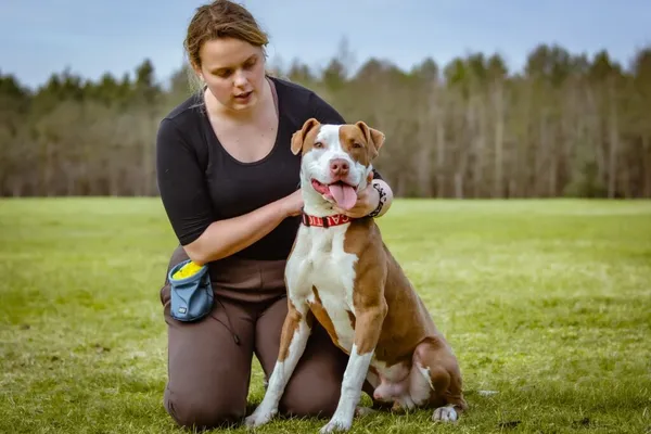 Pies do adopcji, Radom, 20 marca 2024 (4/5)