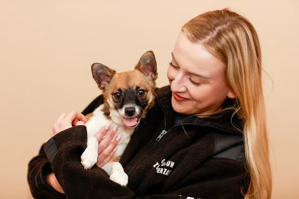 Pies do adopcji, Elbląg, 23 marca 2024 (1/4)