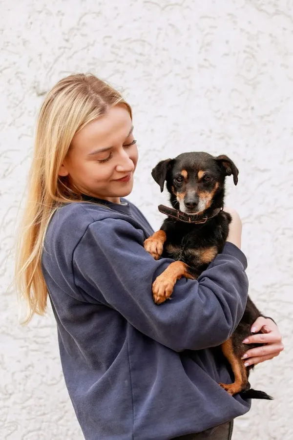 Pies do adopcji, Elbląg, 27 marca 2024 (1/2)