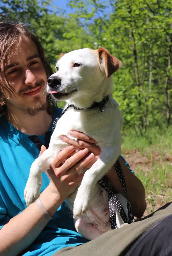 Znaleziono psa, Łódź, 1 kwietnia 2024 (5/5)