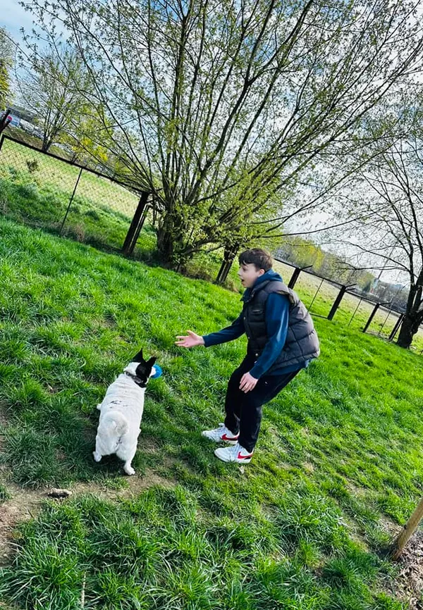 Pies do adopcji, Jelenia Góra, 29 marca 2024 (3/4)