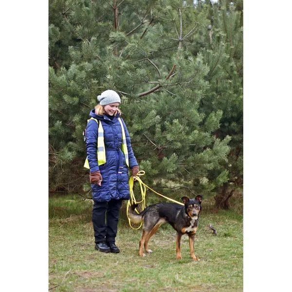 Znaleziono psa, Białystok, 24 lutego 2023 (3/3)