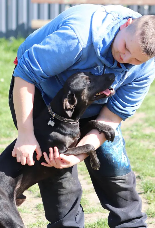 Znaleziono psa, Łódź, 14 kwietnia 2024 (5/5)