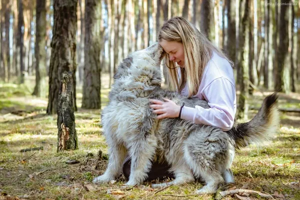 Pies do adopcji, Radom, 14 kwietnia 2024 (5/5)