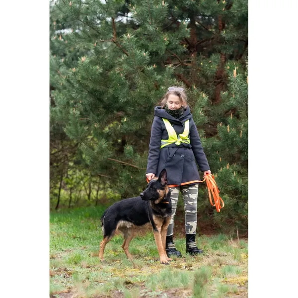 Znaleziono psa, Białystok, 31 marca 2024 (3/4)