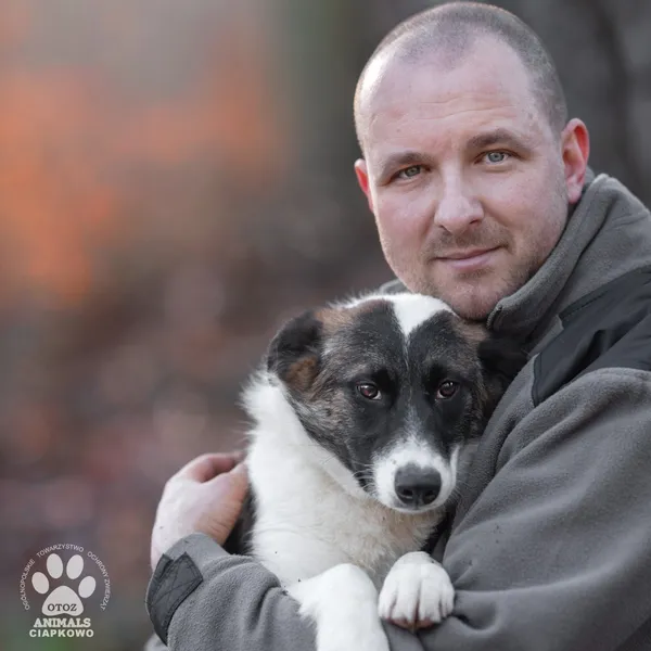 Pies do adopcji, Gdynia, 19 kwietnia 2024 (4/4)