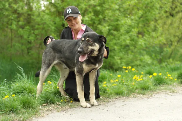 Pies do adopcji, Nowodwór, 20 kwietnia 2024 (5/5)