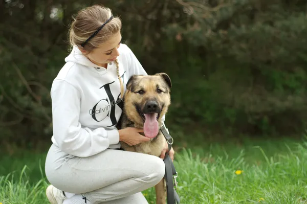 Pies do adopcji, Nowodwór, 20 kwietnia 2024 (2/5)