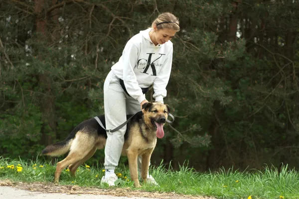 Pies do adopcji, Nowodwór, 20 kwietnia 2024 (3/5)