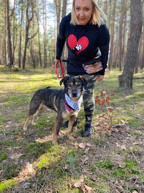 Oddam psa, Warszawa, Targówek Mieszkaniowy, 27 kwietnia 2024 (2/5)