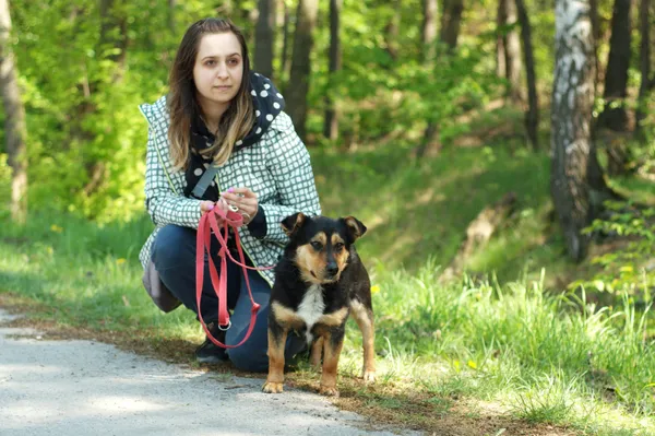 Pies do adopcji, Nowodwór, 9 maja 2024 (4/5)