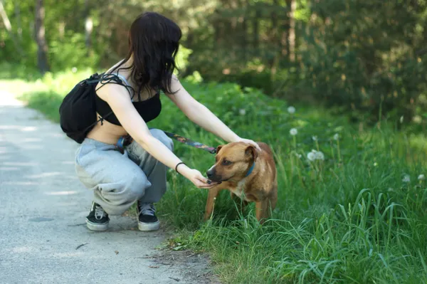 Pies do adopcji, Nowodwór, 10 maja 2024 (4/5)