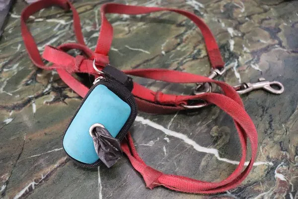 Znaleziono psa, Łódź, 20 września 2025 (4/5)