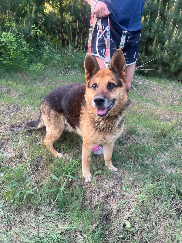 Oddam psa, Warszawa, Grabów, 15 maja 2024 (4/5)