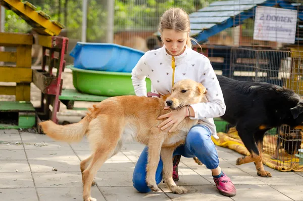 Oddam psa, Olsztyn, Kormoran, 18 maja 2024 (2/4)