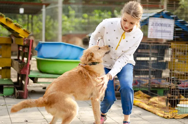 Oddam psa, Olsztyn, Kormoran, 18 maja 2024 (3/4)