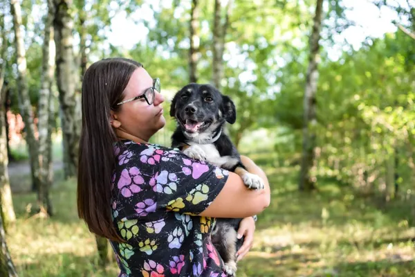 Pies do adopcji, Radom, 15 lipca 2024 (5/5)