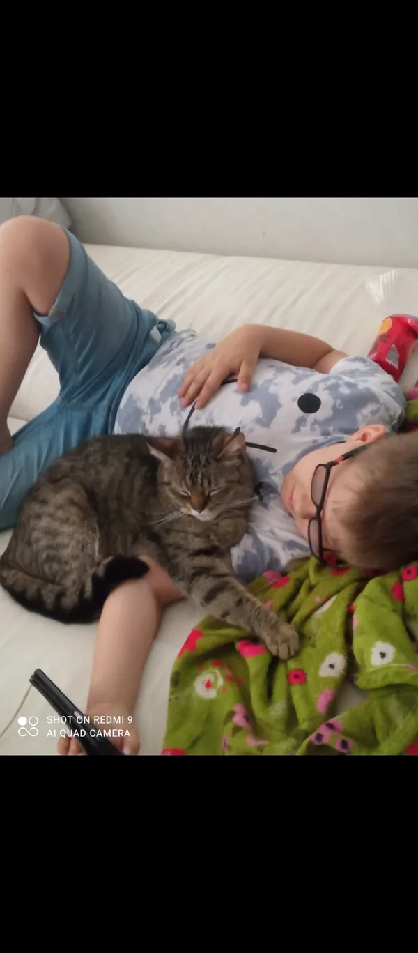 Zaginął kot, Łódź, 22 maja 2024