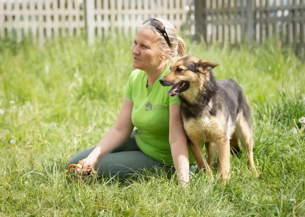 Pies do adopcji, Bełchatów, 26 listopada 2018 (2/5)