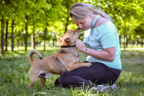 Pies do adopcji, Radom, 26 maja 2024 (4/5)