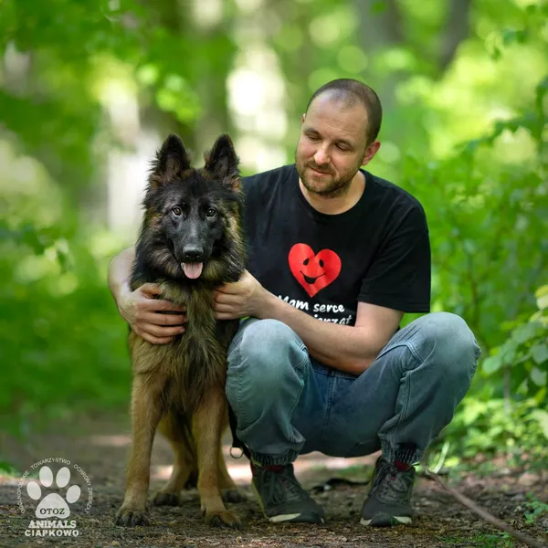 Pies do adopcji, Gdynia, 29 maja 2024 (2/4)