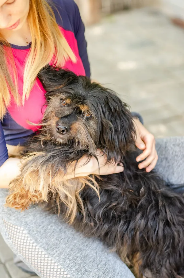 Oddam psa, Olsztyn, Pozorty, 30 maja 2024 (2/3)