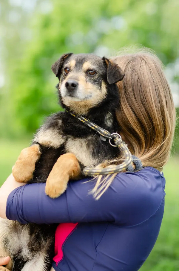 Oddam psa, Olsztyn, Brzeziny, 30 maja 2024 (3/5)