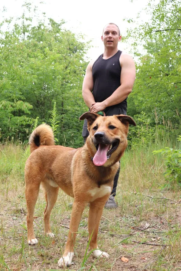 Znaleziono psa, Łódź, 7 czerwca 2024 (4/5)