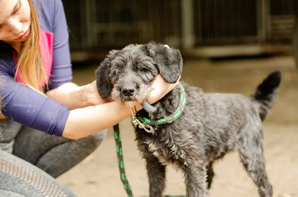 Oddam psa, Olsztyn, Nagórki, 15 czerwca 2024 (3/3)