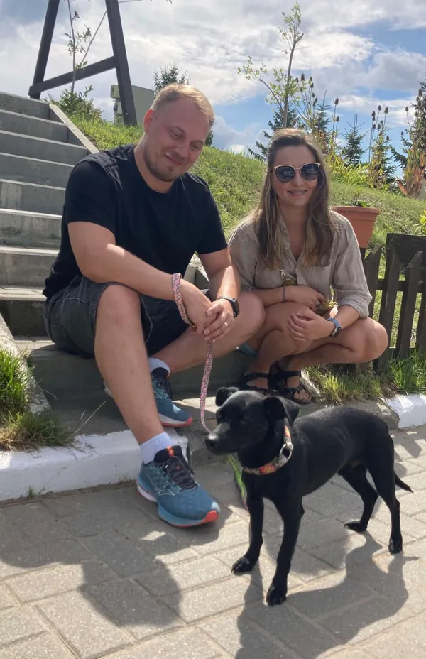 Pies do adopcji, Gdańsk, 19 czerwca 2024