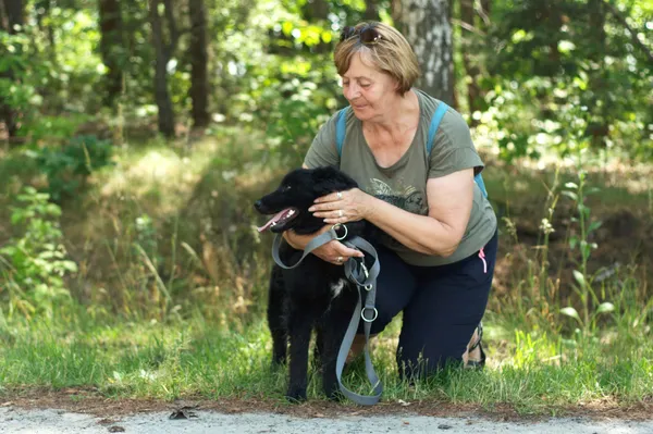 Pies do adopcji, Nowodwór, 21 czerwca 2024 (4/5)