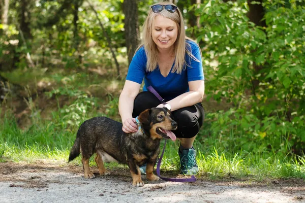 Pies do adopcji, Nowodwór, 27 czerwca 2024 (1/5)