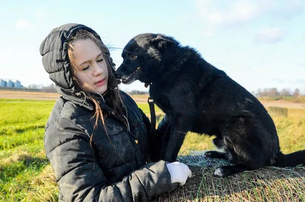 Oddam psa, Olsztyn, Kortowo, 3 lipca 2024 (2/5)