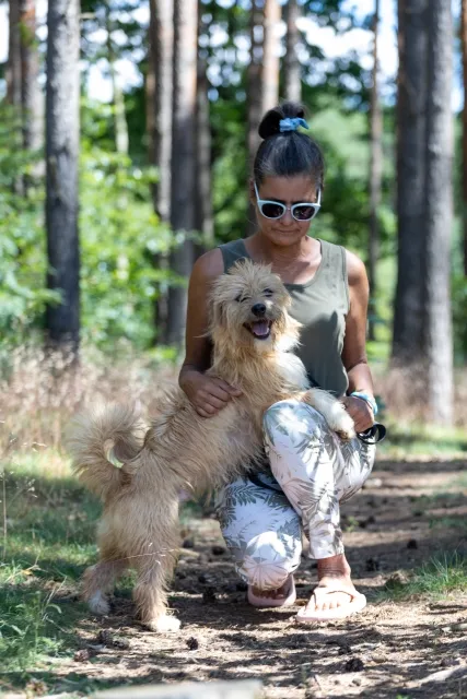 Pies do adopcji, Piła, 7 kwietnia 2024 (2/3)