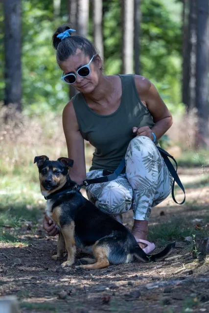 Pies do adopcji, Piła, 28 lutego 2024 (4/4)