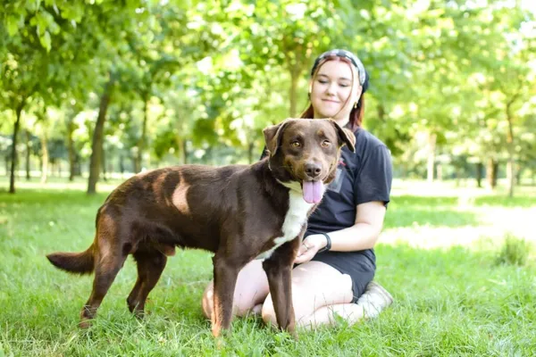 Pies do adopcji, Radom, 17 lipca 2024 (4/5)