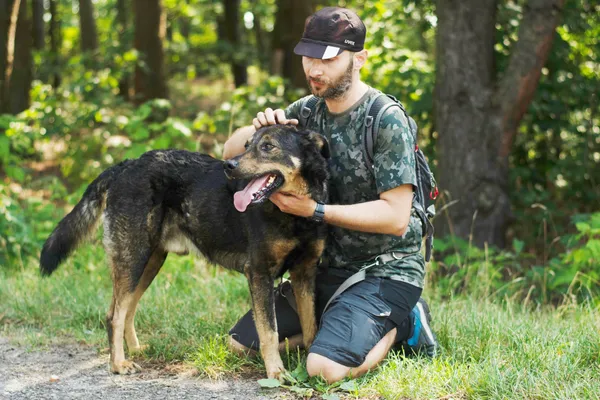 Pies do adopcji, Nowodwór, 19 lipca 2024 (2/5)