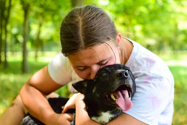 Pies do adopcji, Radom, 23 lipca 2024 (3/5)