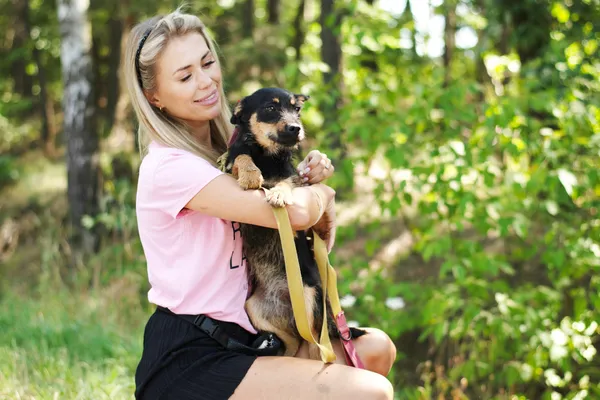 Pies do adopcji, Nowodwór, 26 lipca 2024 (4/5)