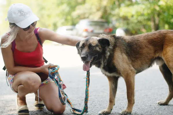 Pies do adopcji, Nowodwór, 26 lipca 2024 (1/5)