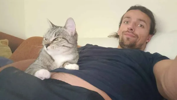 Zaginął kot, Łańcut, 29 lipca 2024 (1/3)